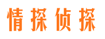 陆丰小三调查